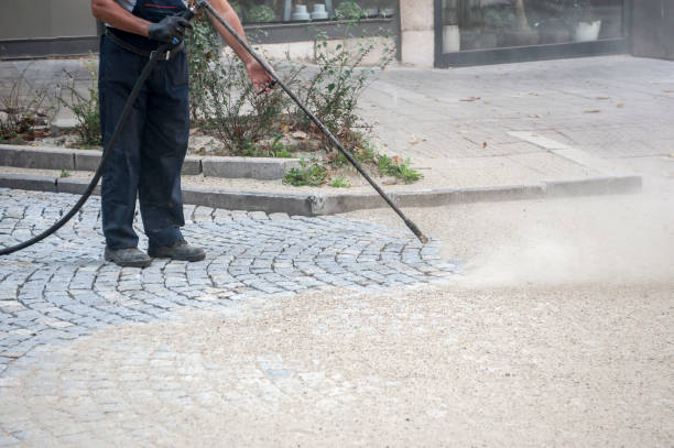 Best Dumpster Area Cleaning  in Eastport, NY